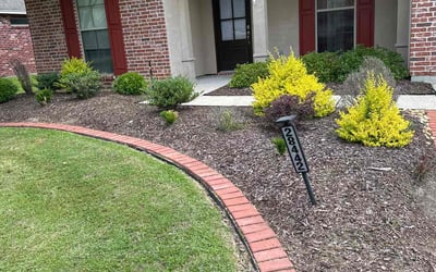 Photo of Foster K.'s yard after getting lawn care in Escondido, CA