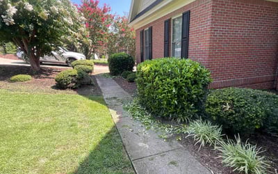 Photo of Justin K.'s yard after getting lawn care in Dyer, IN