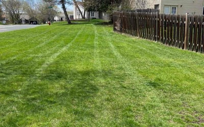 Photo of Sandy G.'s yard after getting lawn care in Eden Prairie, MN