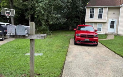 Photo of Shirley E.'s yard after getting lawn care in Camp Hill, PA