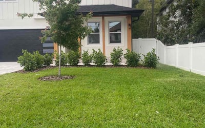 Photo of Rick B.'s yard after getting lawn care in New Hyde Park, NY