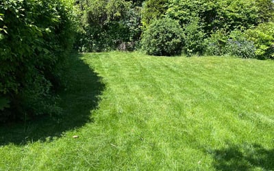 Photo of Ryan S.'s yard after getting lawn care in Barrington, IL