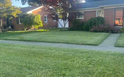 Photo of Steven K.'s yard after getting lawn care in Grosse Pointe, MI