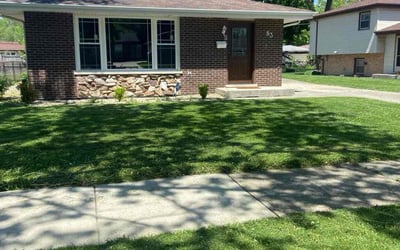 Photo of Zoe B.'s yard after getting lawn care in Chicago Heights, IL