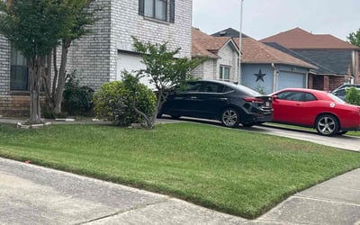 Photo of Marita J.'s yard after getting lawn care in Von Ormy, TX