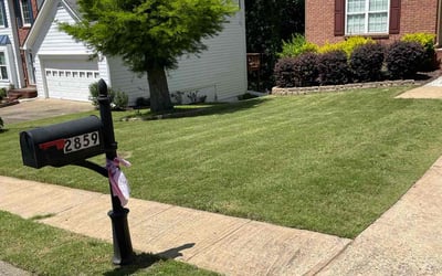 Photo of Rodney M.'s yard after getting lawn care in Navarre, FL