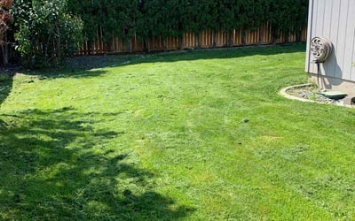 Photo of Jeremy R.'s yard after getting lawn care in Pasco, WA