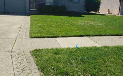 Photo of Shannin S.'s yard after getting lawn care in Mansfield, OH