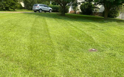 Photo of Trish A.'s yard after getting lawn care in Henderson, NC