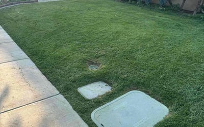 Photo of Clarice D.'s yard after getting lawn care in Lake Elsinore, CA