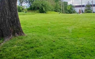 Photo of Sushant J.'s yard after getting lawn care in Northbrook, IL