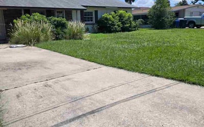 Photo of Spryng S.'s yard after getting lawn care in Riverdale, GA