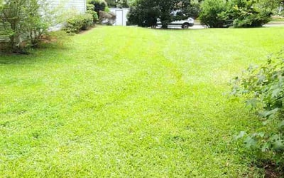 Photo of Randall J.'s yard after getting lawn care in Decatur, AL