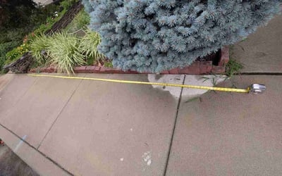 Photo of Ken A.'s yard after getting lawn care in New Albany, IN