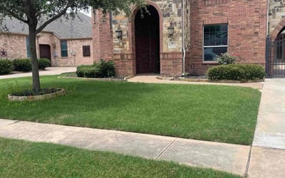 Photo of Lisa M.'s yard after getting lawn care in Keller, TX