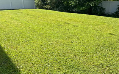 Photo of Matthew D.'s yard after getting lawn care in Gastonia, NC