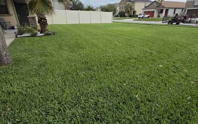 Photo of Bristol A.'s yard after getting lawn care in Asheville, NC