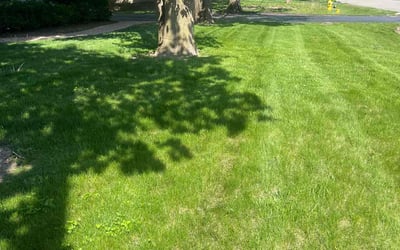Photo of Janel R.'s yard after getting lawn care in Fox Lake, IL