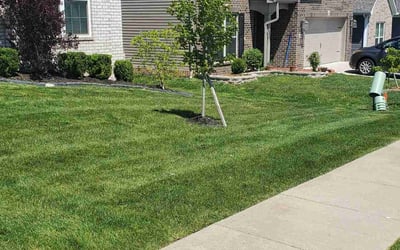 Photo of Leigh K.'s yard after getting lawn care in Nicholasville, KY