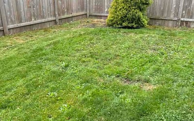 Photo of Sophia H.'s yard after getting lawn care in Johnston, RI