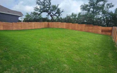 Photo of Brett S.'s yard after getting lawn care in Austin, TX