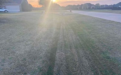 Photo of Jasmine C.'s yard after getting lawn care in Joplin, MO
