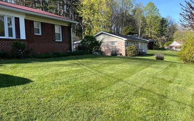 Photo of Cory C.'s yard after getting lawn care in Abingdon, VA