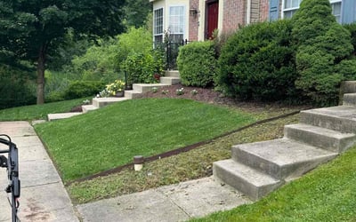 Photo of Kathy B.'s yard after getting lawn care in Rosedale, MD