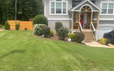 Photo of Heather P.'s yard after getting lawn care in Kyle, TX