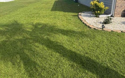 Photo of Michael H.'s yard after getting lawn care in Amelia, OH
