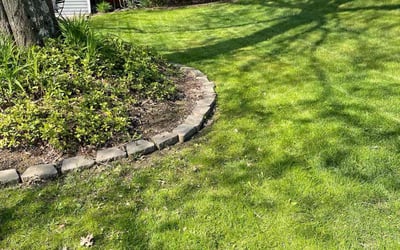 Photo of Dom C.'s yard after getting lawn care in Gibsonia, PA