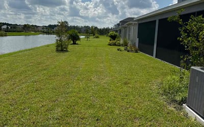 Photo of Karen B.'s yard after getting lawn care in Buckeye, AZ