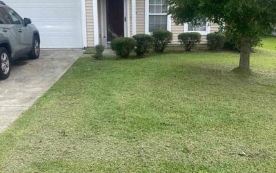 Photo of James H.'s yard after getting lawn care in Queen Creek, AZ