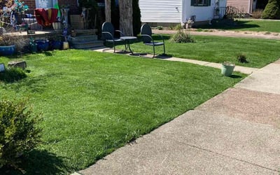 Photo of Joan L.'s yard after getting lawn care in North Tonawanda, NY