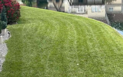 Photo of Steven M.'s yard after getting lawn care in Atlanta, GA