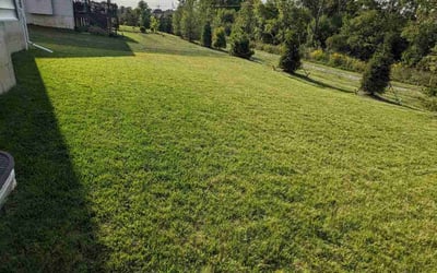 Photo of Alisher Z.'s yard after getting lawn care in Ann Arbor, MI