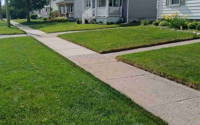 Photo of Malika D.'s yard after getting lawn care in Clovis, CA