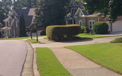 Photo of Yajaira A.'s yard after getting lawn care in Paterson, NJ