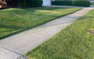 Photo of Logan A.'s yard after getting lawn care in Baton Rouge, LA