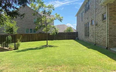 Photo of James O.'s yard after getting lawn care in Flower Mound, TX