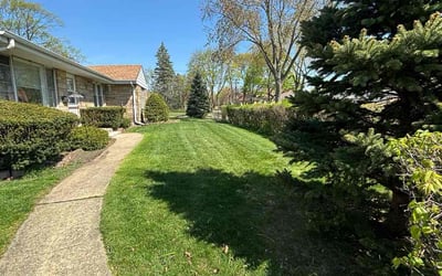 Photo of Joe v.'s yard after getting lawn care in Des Plaines, IL