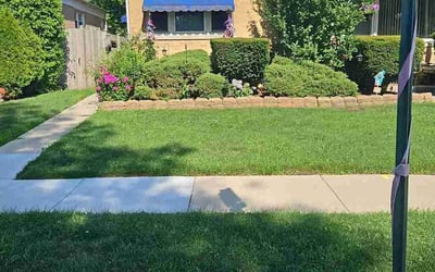 Photo of Cris S.'s yard after getting lawn care in Manassas, VA