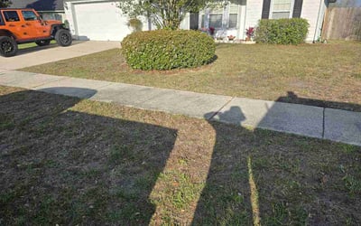 Photo of Noah A.'s yard after getting lawn care in Nixa, MO