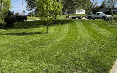 Photo of Autumn V.'s yard after getting lawn care in Dayton, KY