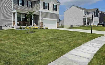 Photo of Sonnie W.'s yard after getting lawn care in Santa Ana, CA