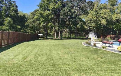 Photo of Michael S.'s yard after getting lawn care in Springtown, TX