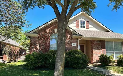 Photo of Seth S.'s yard after getting lawn care in Scottsdale, AZ