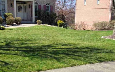 Photo of ES M.'s yard after getting lawn care in Coraopolis, PA