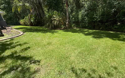 Photo of Jaylyn S.'s yard after getting lawn care in Plano, TX