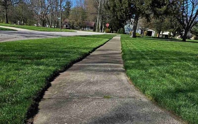 Photo of Hedy C.'s yard after getting lawn care in North Ridgeville, OH
